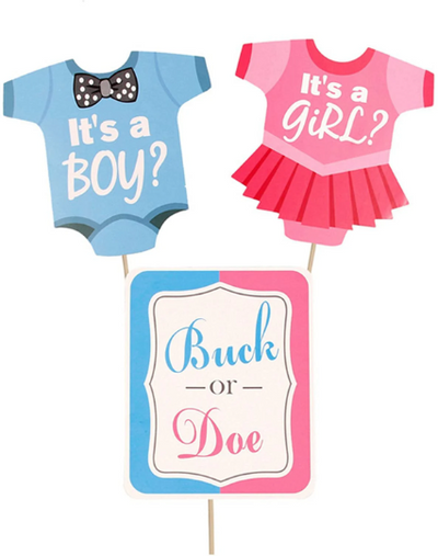 Gender Reveal Photo Booth Props